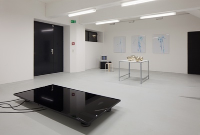 Blick in die Ausstellung "Form Follows Nature"