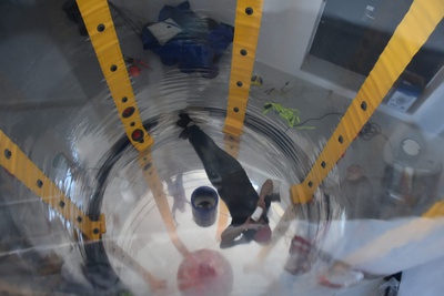 Aufbau der Ausstellung mit Hans-Walter Müller im aut