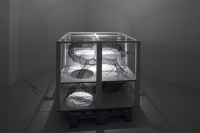Blick in die Ausstellung "Numen/For Use: Out of Balance" im aut