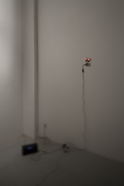 Blick in die Ausstellung "Rens Veltman: Infra und Ultra oder Colonise the Dark"