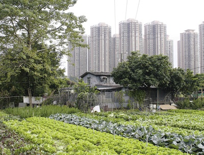 MaPoPo Village in Hongkong – © Shu-Mei Huang MaPoPo Village in Hongkong