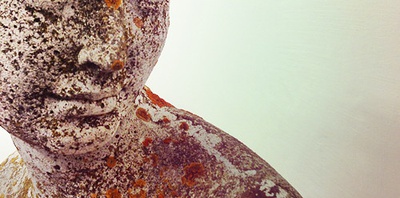 Venus – © Teresa Stillebacher Venus