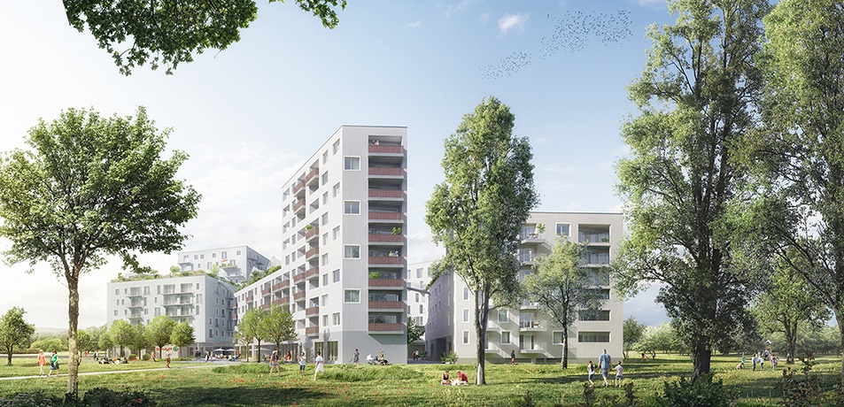 Campagne Reichenau – © expressiv für Bogenfeld Architektur Campagne Reichenau