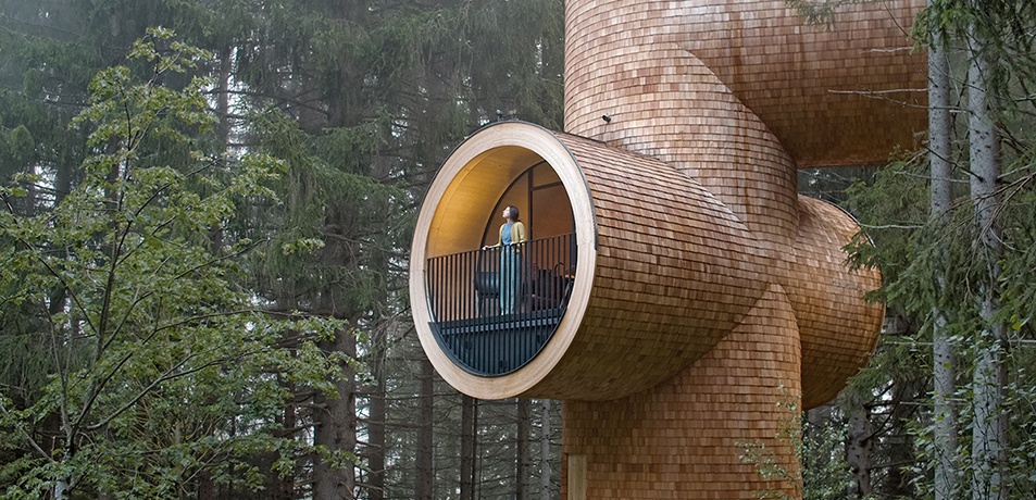 Baumhaus Bert, Pogusch