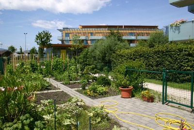 Nachbarschaftsgarten Wohnanlage Stieglgründe