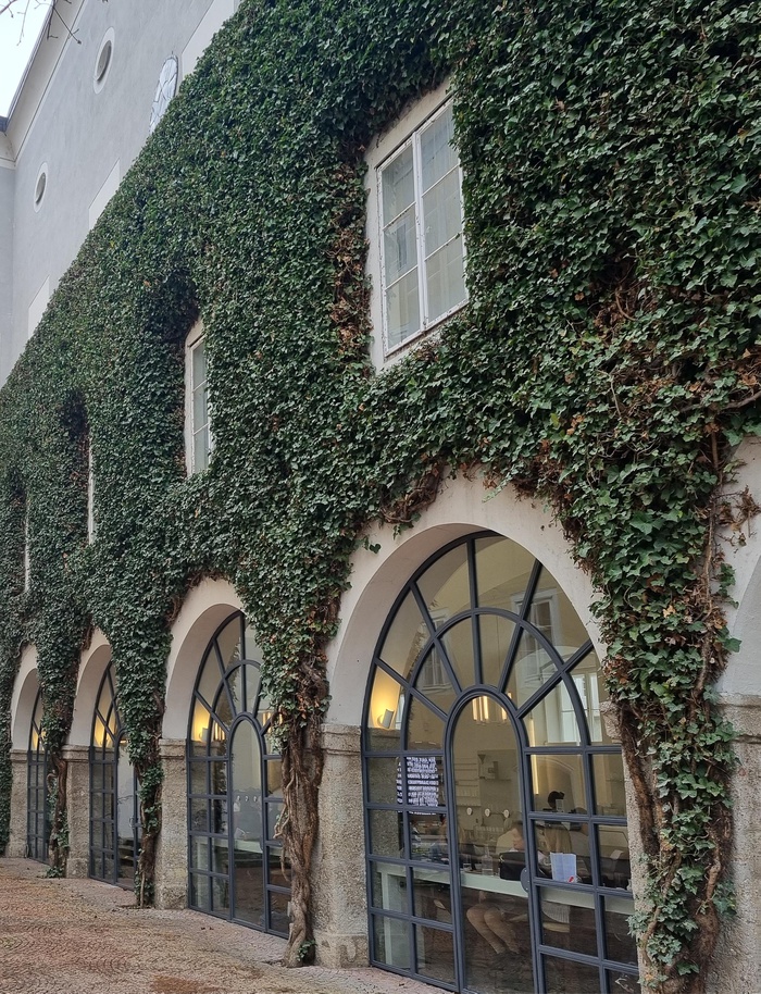 Cafe 220GRAD (Rupertinum)