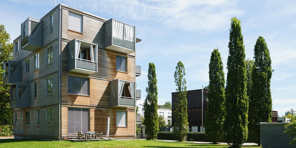 Holz 4