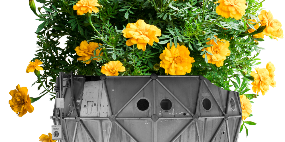 Originalfoto: Liftstation © Andrew Phelps / Bearbeitung: gelbe Chrysanthemen ergänzt