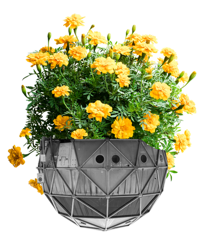 Originalfoto: Liftstation © Andrew Phelps / Bearbeitung: gelbe Chrysanthemen ergänzt