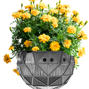 Originalfoto: Liftstation © Andrew Phelps / Bearbeitung: gelbe Chrysanthemen ergänzt