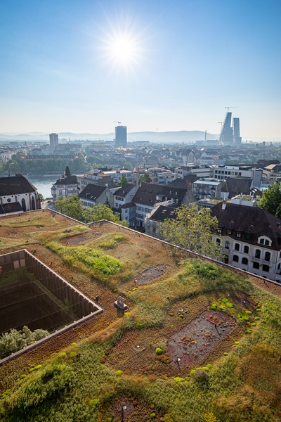 Flachdach_2021