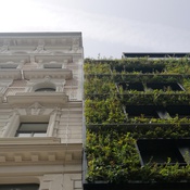 Hotel Gilbert & Flora am Museumsquartier in Wien