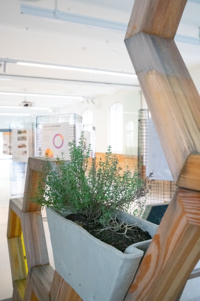 Ausstellung "autodidakt. oder wem gehört der öffentliche Raum", Architekturhaus Salzburg