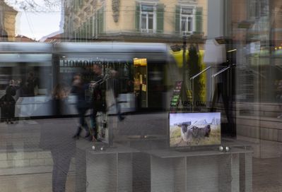Ausstellung im HDA / Exhibition at HDA