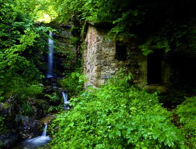 "Ecology of Ruins" von Jason Rhys Parry