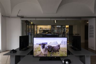 Ausstellung im HDA / Exhibition at HDA