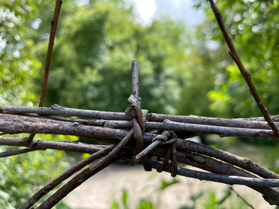 Cut-Outs Einreichung Natur Raum Schaffen
