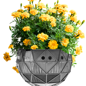 Originalfoto: Liftstation © Andrew Phelps / Bearbeitung: gelbe Chrysanthemen ergänzt