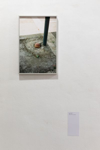 Ausstellungsansicht | banale potenziale