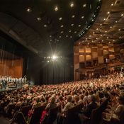 Großes Festspielhaus, Auditorium